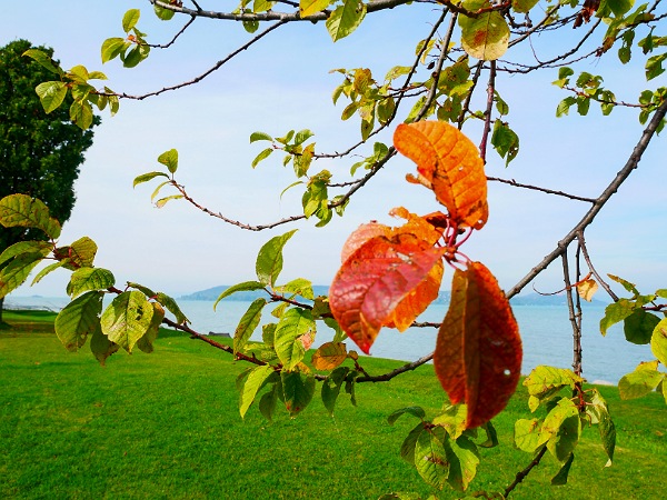 A Balaton őszi arca 