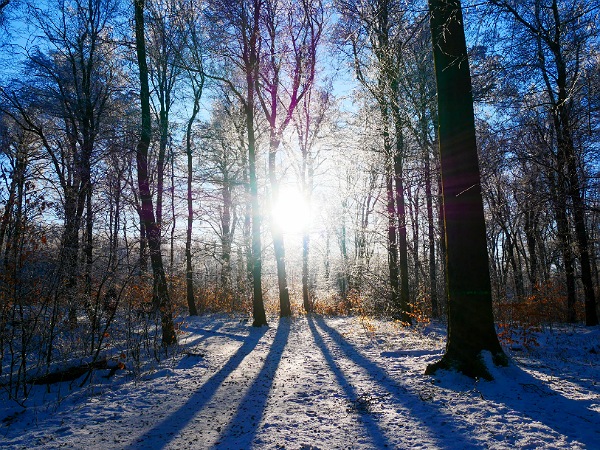 Mesevilág Dobogókőn 