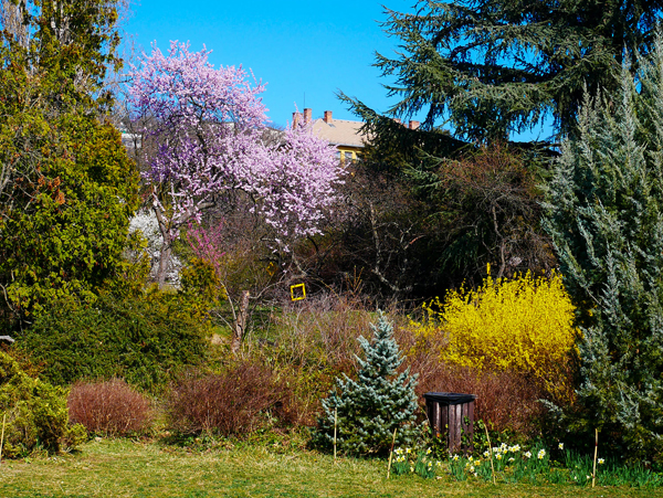 Meseszép színeket festett a természet a Budai Arborétum kertjébe