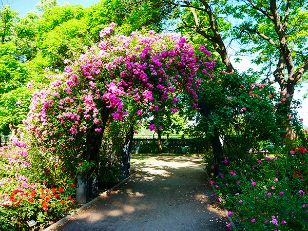 Szent István park
